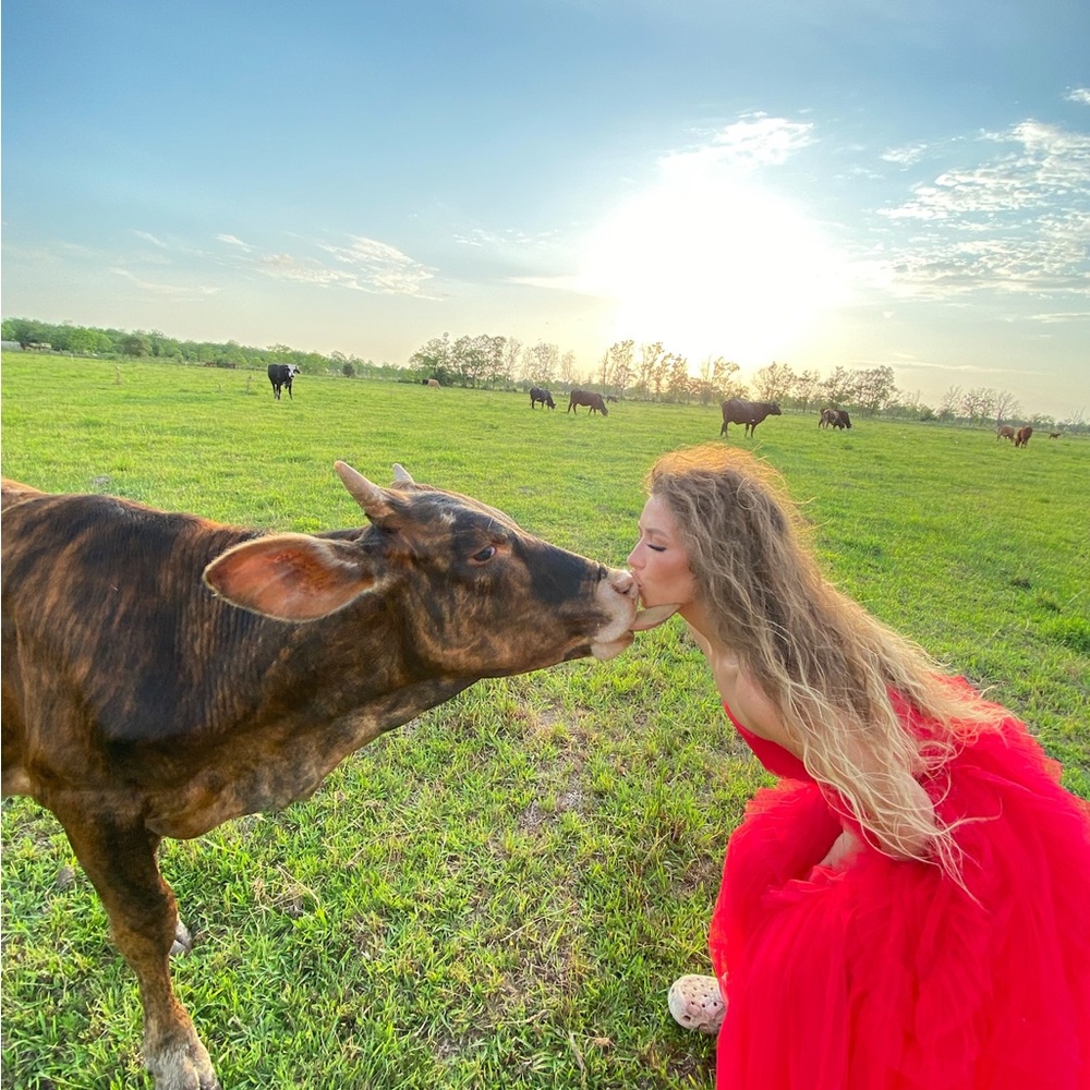 Meet your Posher, Maggie - Picture 8 of 14